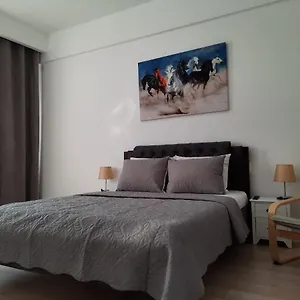 Luxury Center - Garofita Romana Apartamento